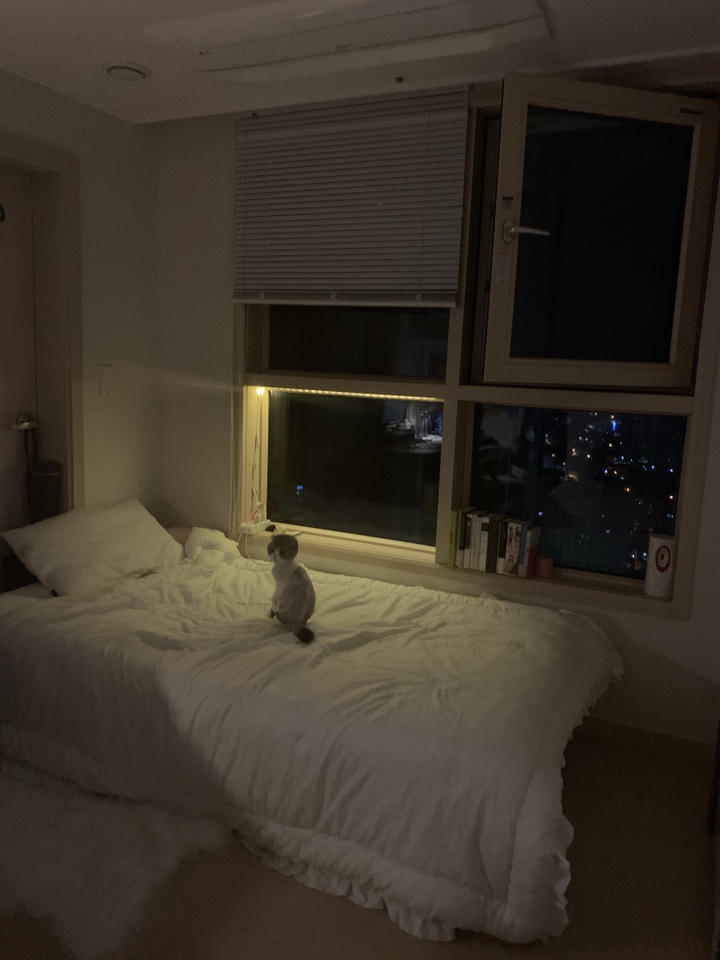 스토리이불 몽실나비 순면 차렵이불