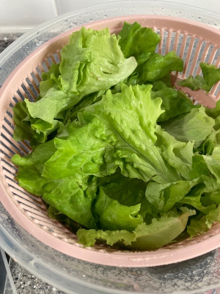 팜에이트 무농약 인증 카이피라 샐러드