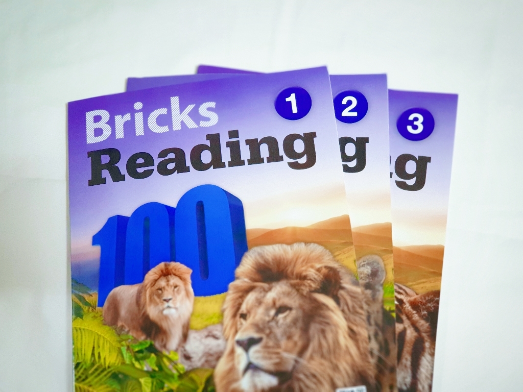 Bricks Readin 100 1