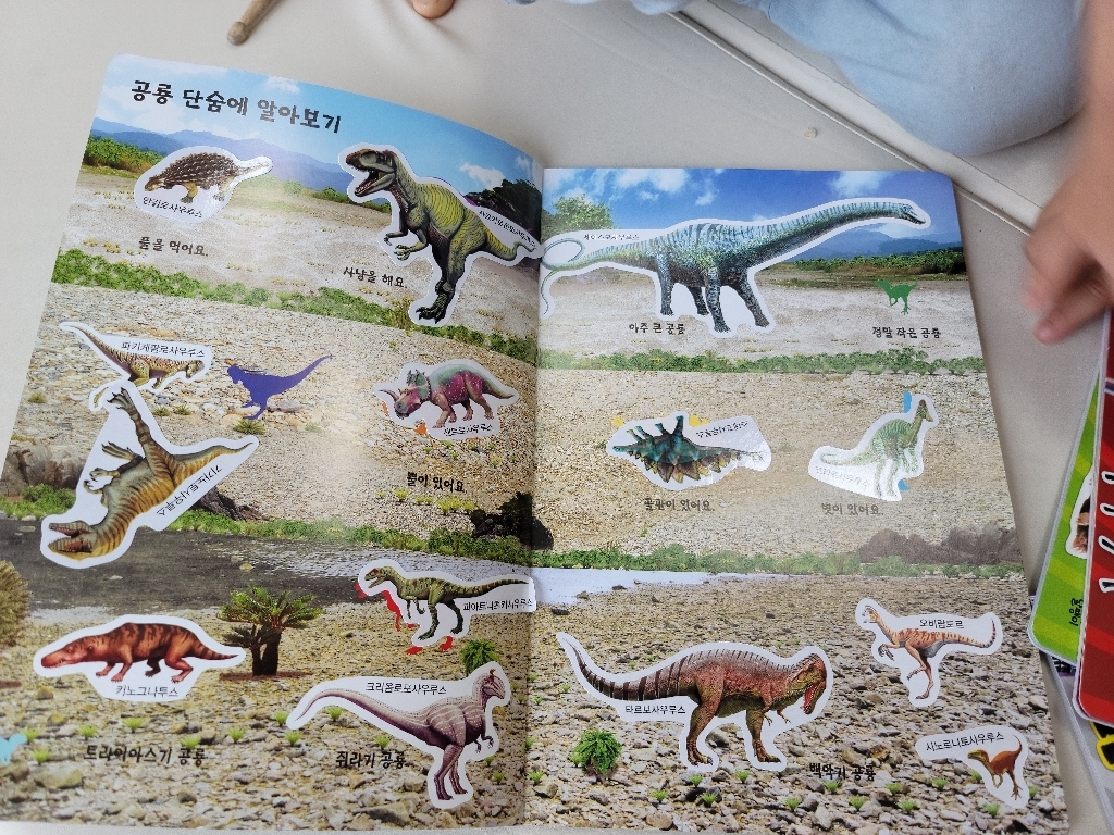 스티커펑펑 5권 : 공룡 스티커 탈것 스티커 곤충과 작은 동물 스티커 동물 스티커 세계 여러 나라 스티커