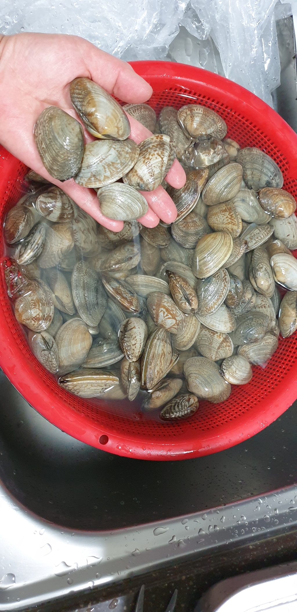 남해안 왕 바지락 리뷰후기