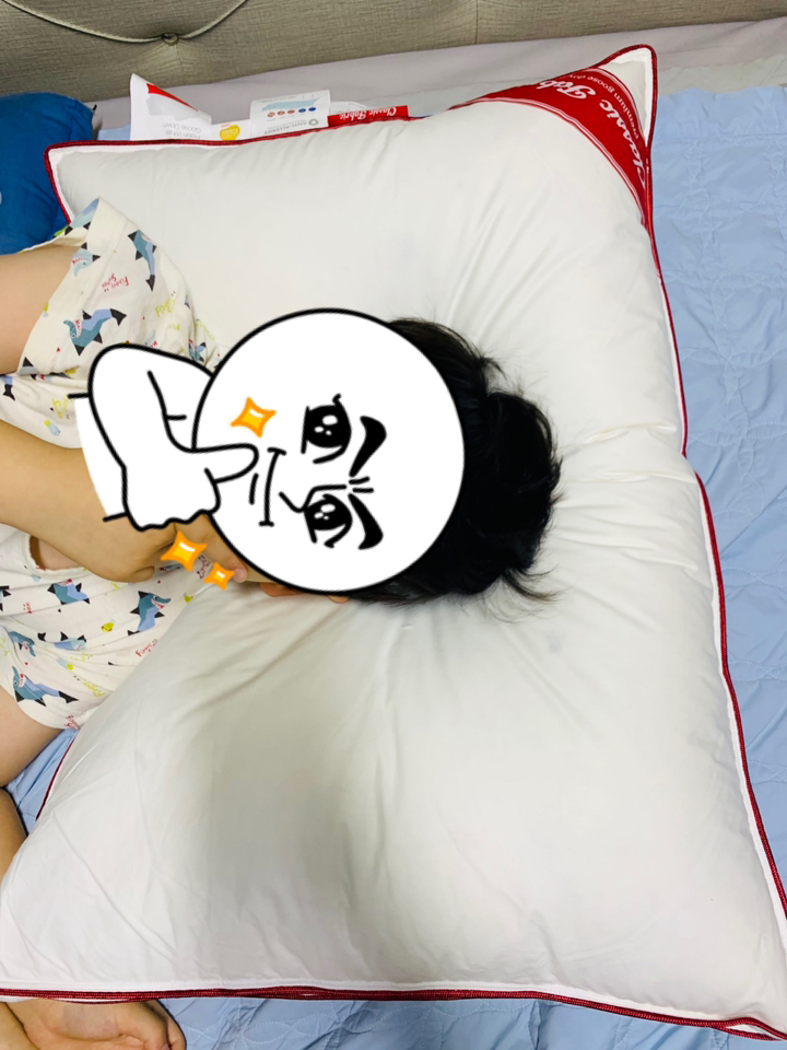 클래식패브릭 구스베개 프리미엄 레드 Fir