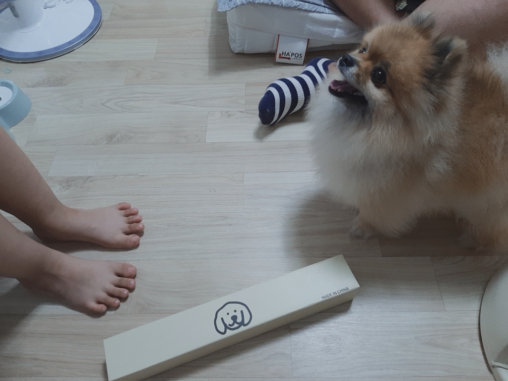 잇치치 강아지 배변 매트 논슬립 실리콘 특대형 81x