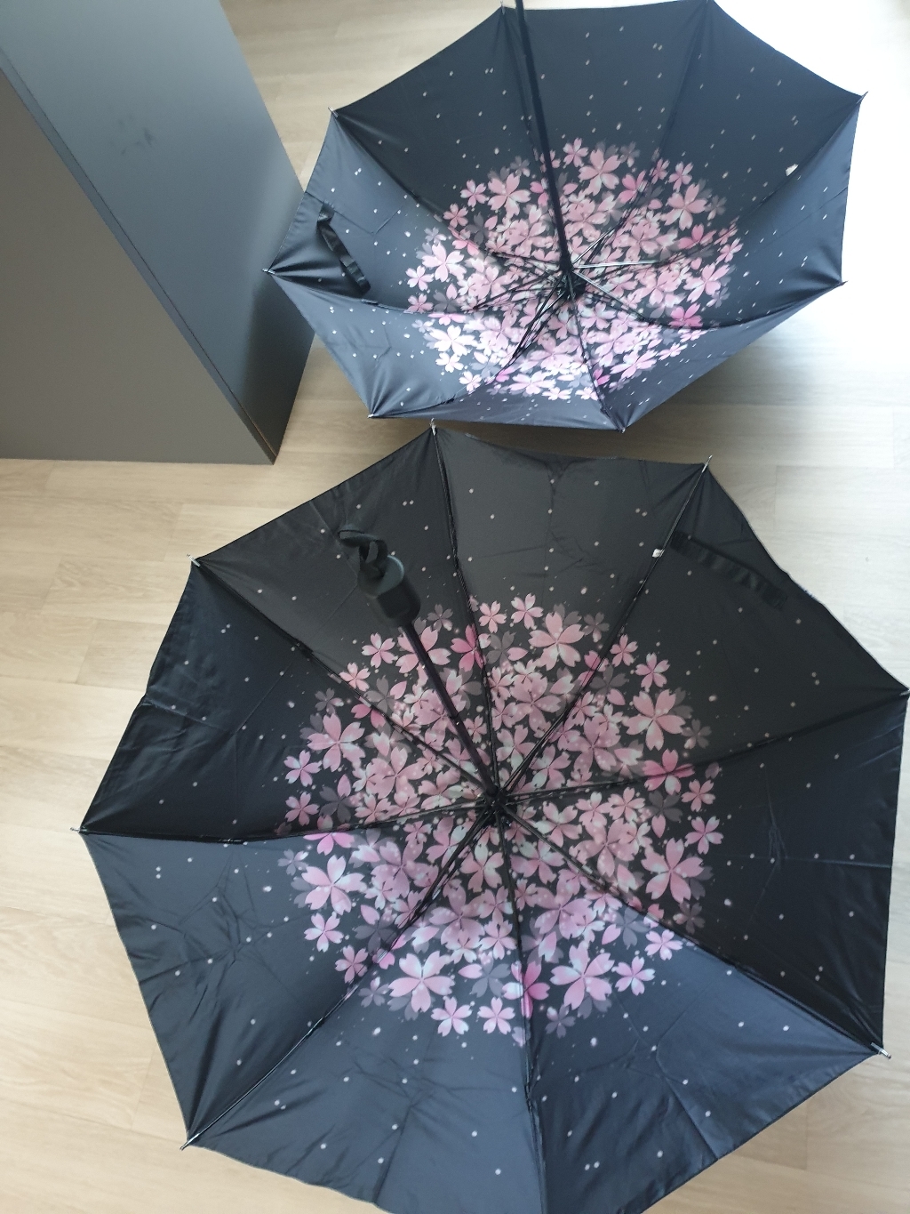 UV 벚꽃 양우산