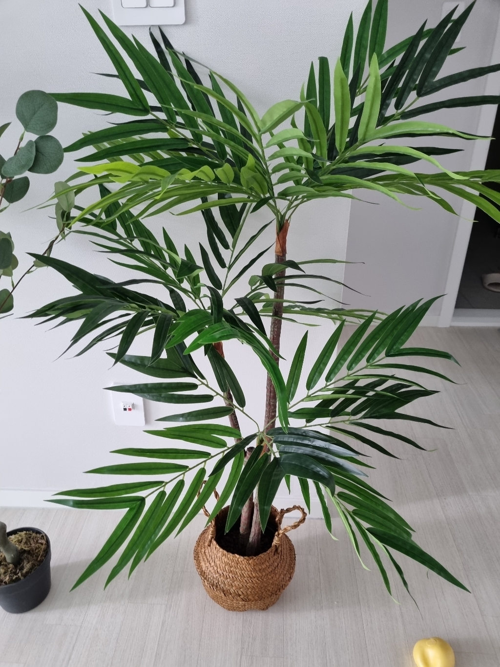 룸앤홈 자바 조화나무 120