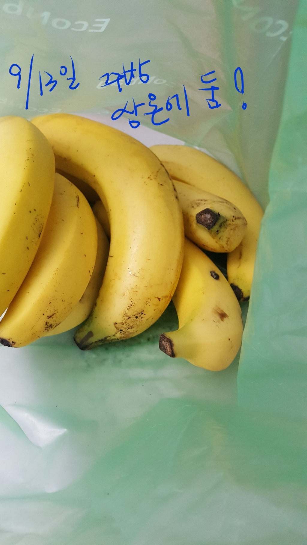 바이올키지 에코싱싱백 키핑백 그린백 신선도유지 야채 보관함 항균비닐 -SIZE 10매