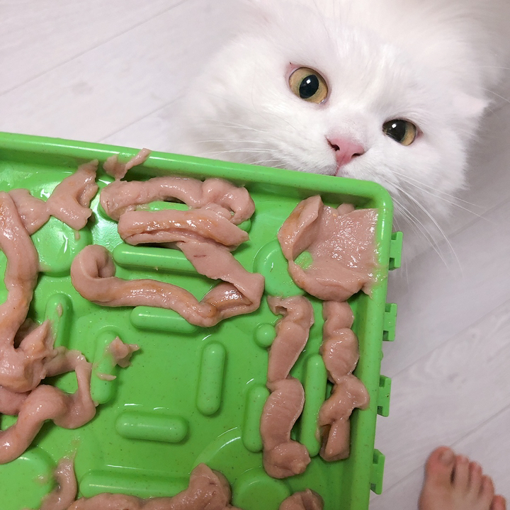 네츄럴코어 메리츄 고양이 간식