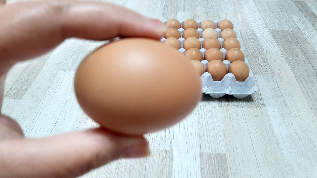 무항생제인증 신선한 특란 30구