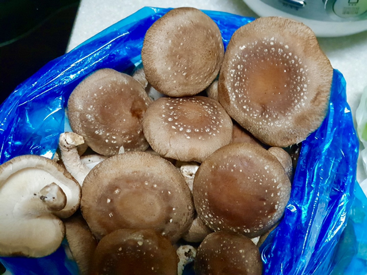 표고버섯 국내산