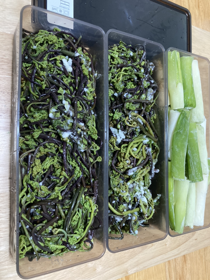 비트리 냉장고 정리용기 2