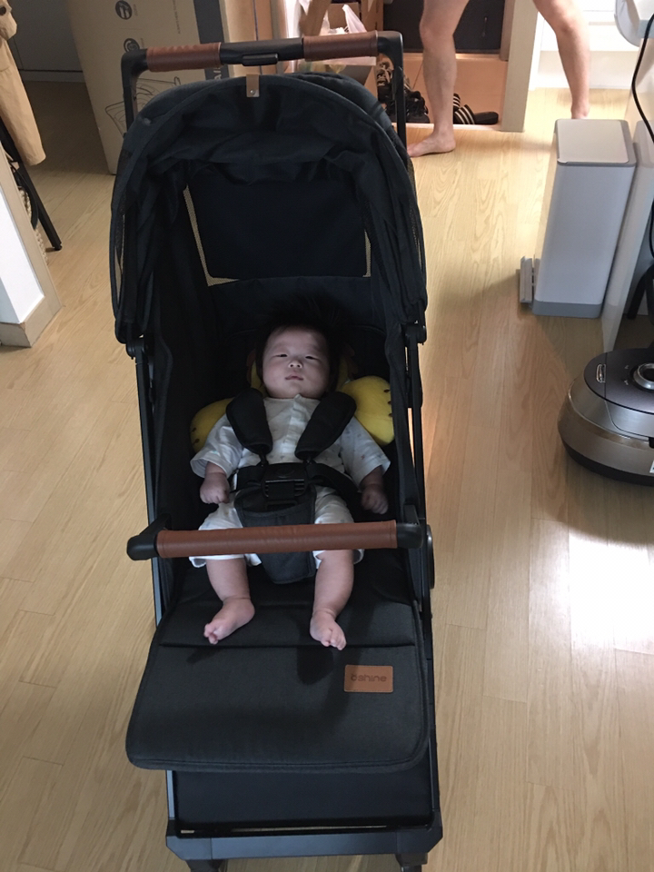 다이치 원픽스360 프리미엄 ISOFIX 썬바이저 영유아카시트 썬바이저