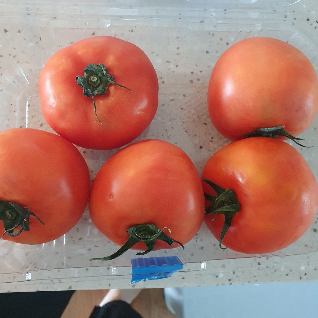 곰곰 자일리톨 완숙토마토
