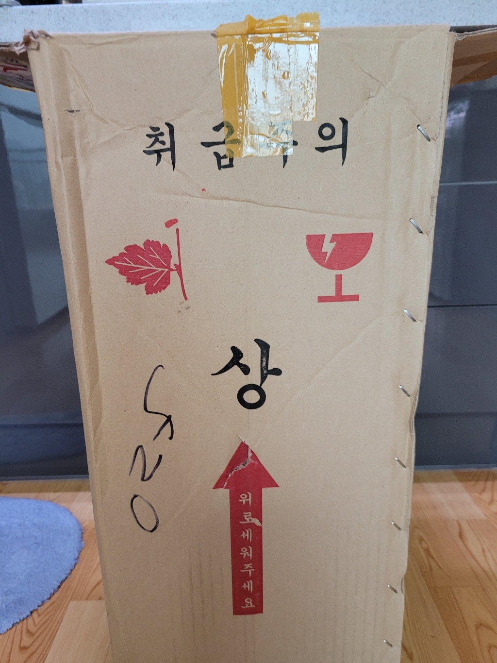 [하늘꽃농원] 대박나무 핫도그 녹보수 돈과 재물을 상징해요