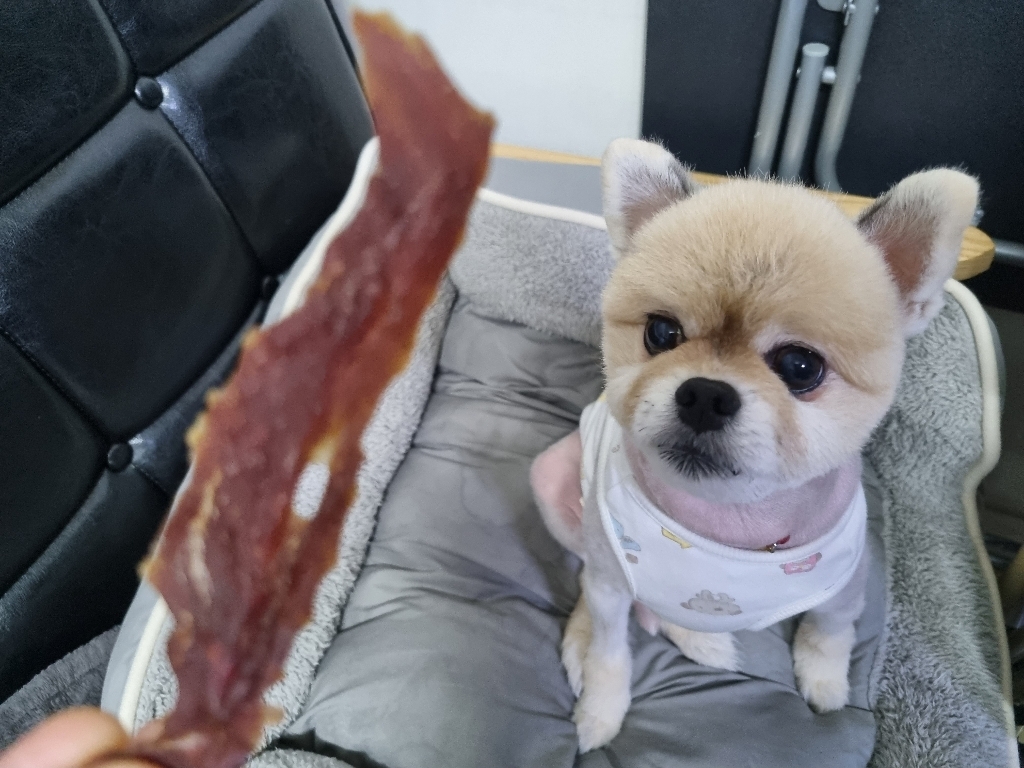아침애 대용량 강아지 수제간식