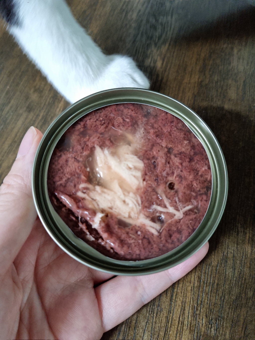 프로베스트 캣푸드 고양이 간식캔