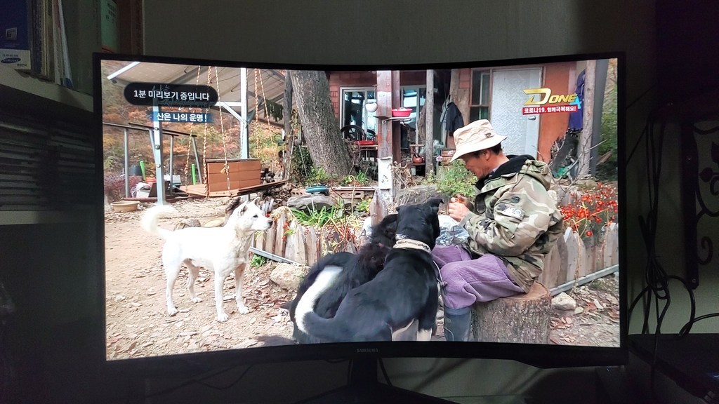 벤션 20핀 더미 울트라 8K D to D V14 케이블