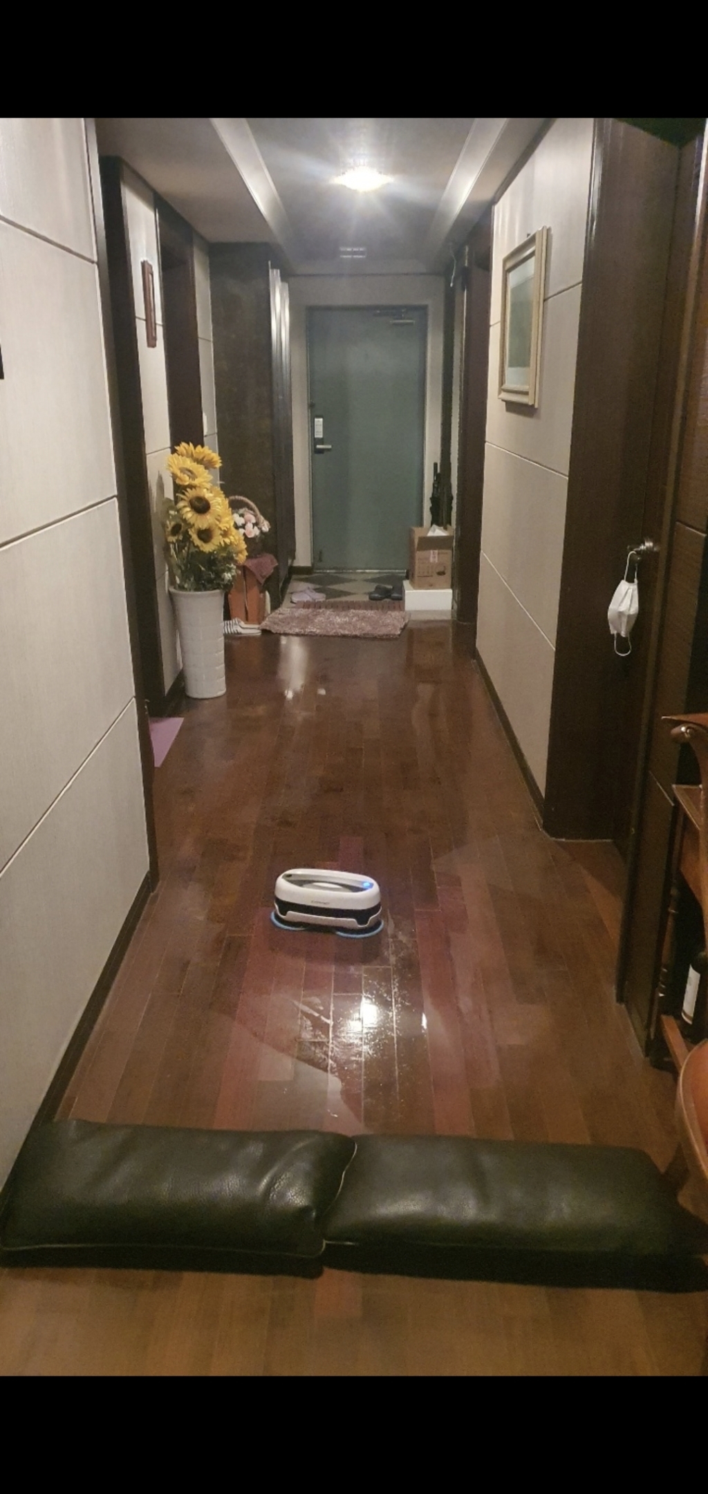에브리봇 분섬사 걸레 그레이