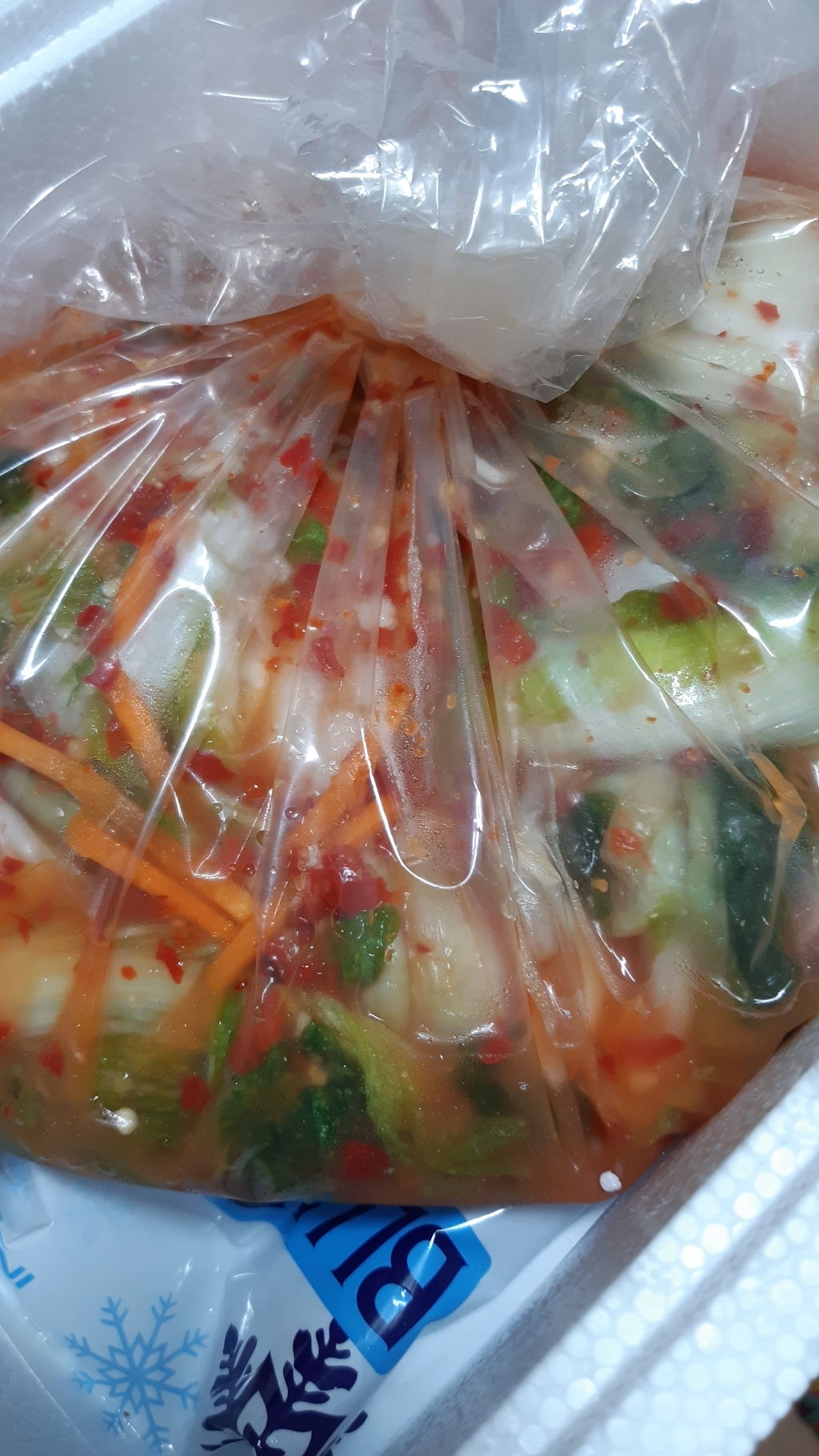 뚱순네 김치 얼갈이김치
