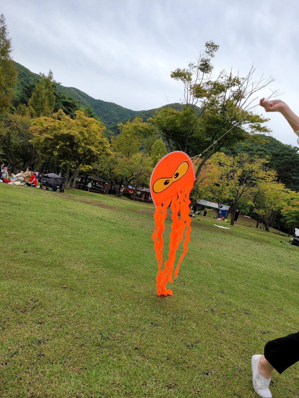 IKITE 롱다리문어오렌지 디자인연