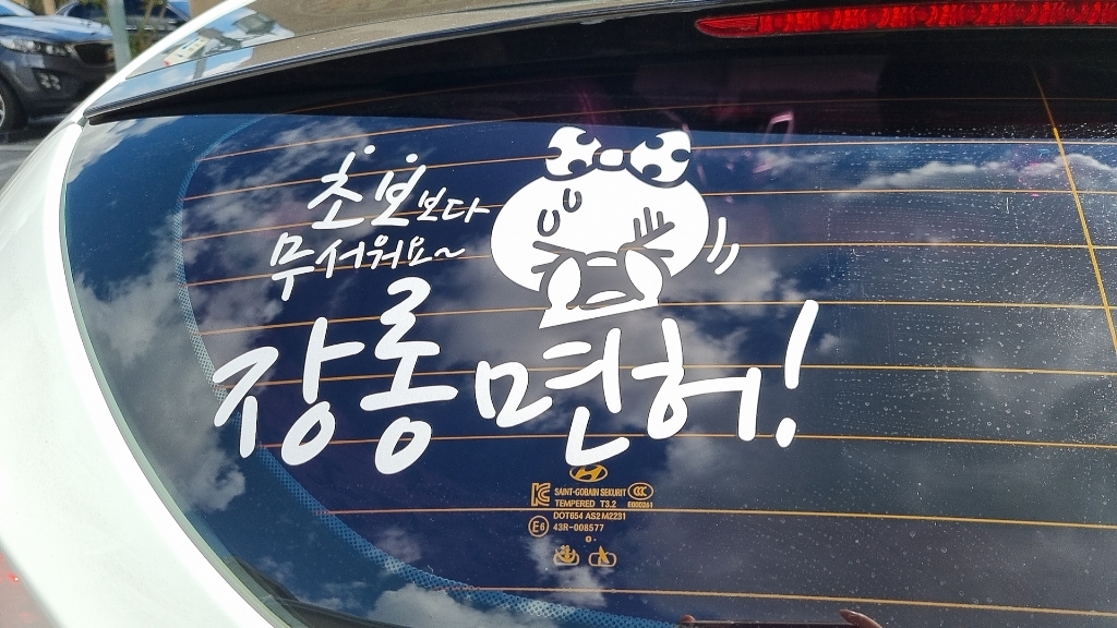 제제데코 초보운전 스티커 장롱면허 쁘띠