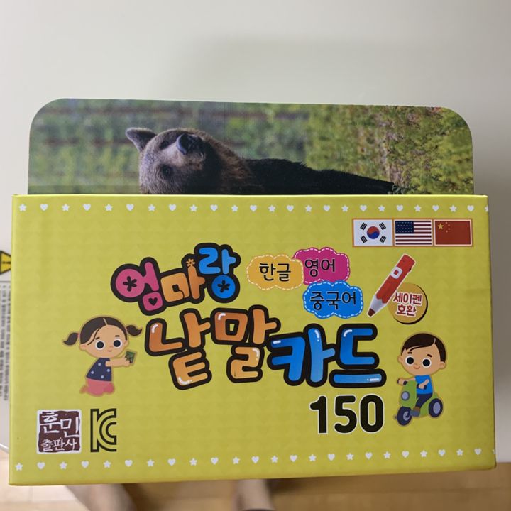 엄마랑 낱말카드 150장 세이펜 환