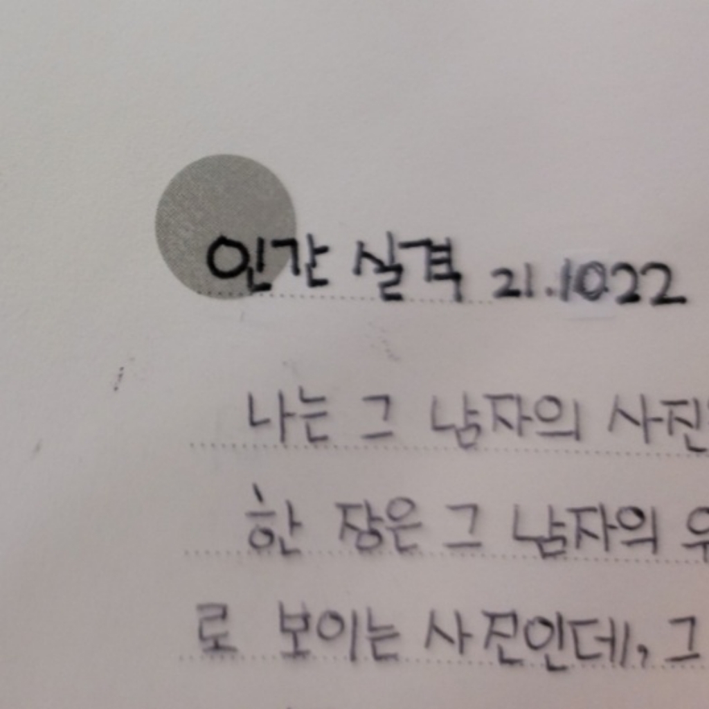 모노라이크 다이어리 데코 팔레트 스티커 12종