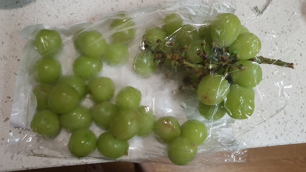 농협 명실상주 샤인머스켓