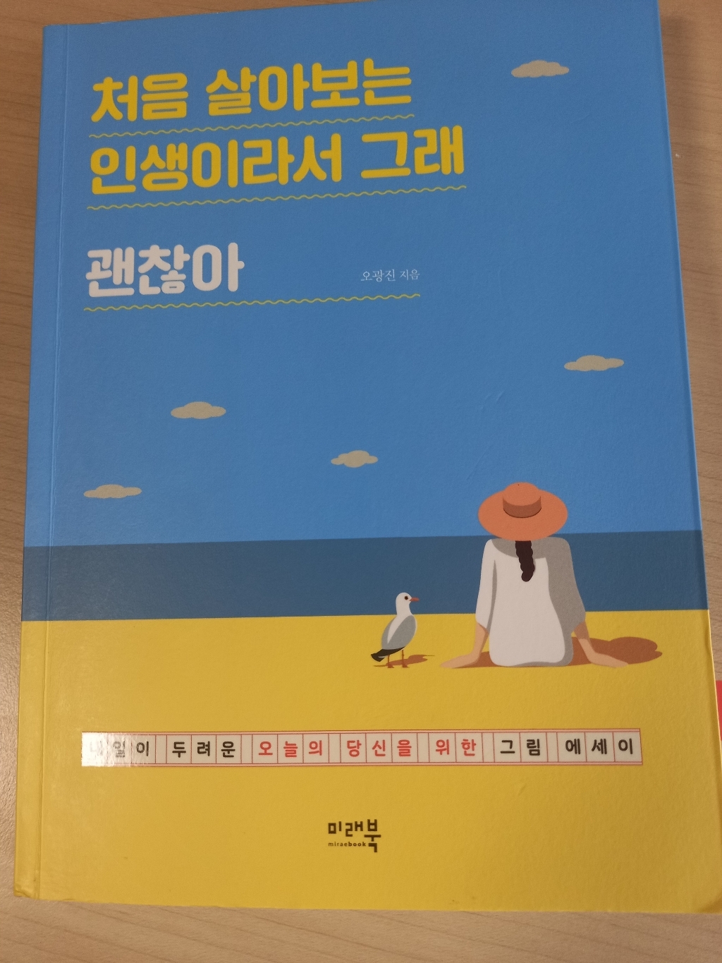 처음 살아보는 인생이라서 그래 괜찮아:내일이 두려운 오늘의 당신을 위한 그림 에세이