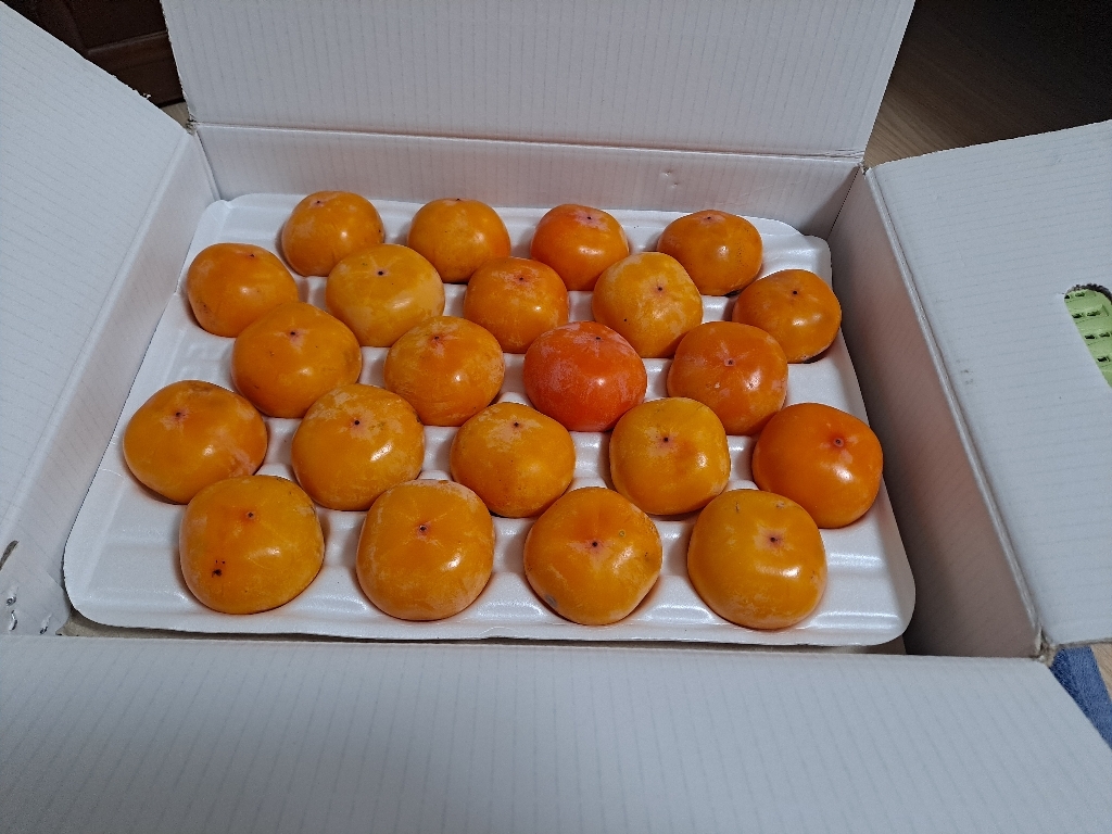 홍시용 청도반시 이내 리뷰후기