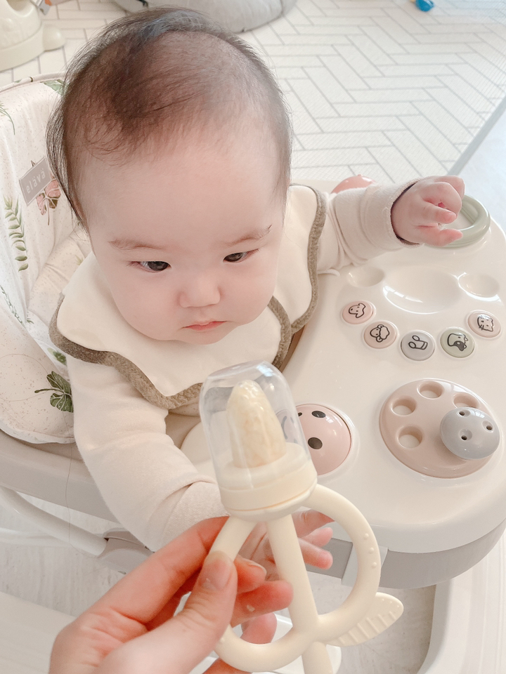 모윰 유아용 애플피치 치발기 과즙망