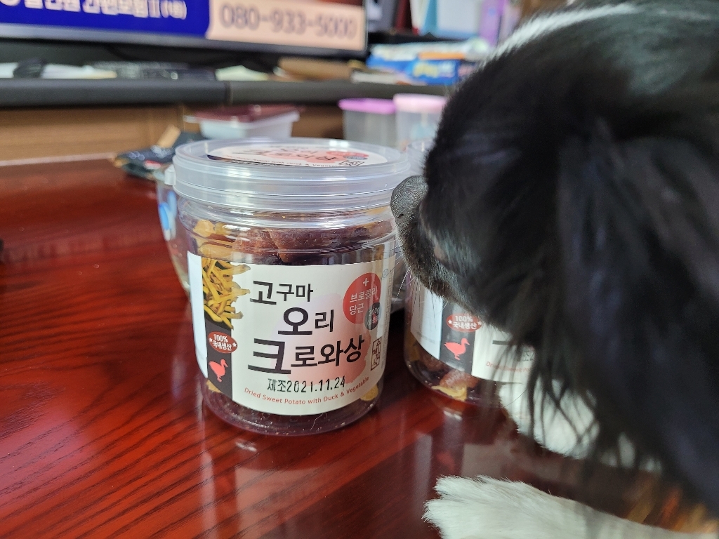 아침애간식 강아지 크로와상