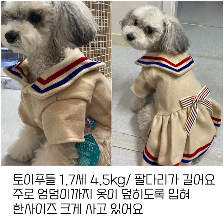 귀여운 여아 강쥐를 위한 패션 겨을 외출 드레스 작은 소형견 고양이를 위한 야외 외출용 겨울 원피스 드레스
