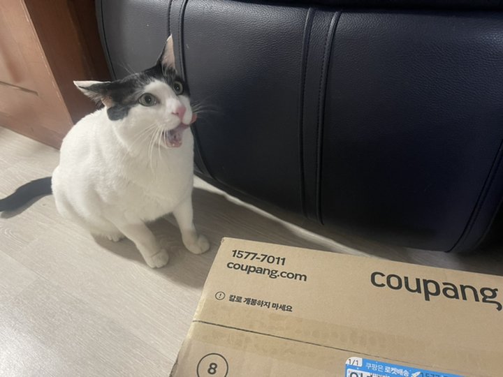 위스카스 고양이 테이스티믹스 씨푸드칵테일과미역 in 그레이비 습식사료