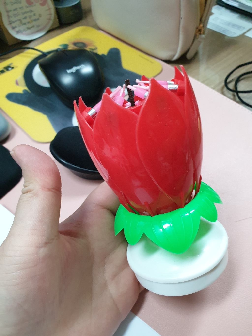 멜로디 연꽃초