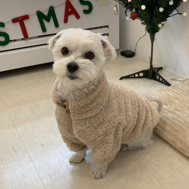 겨울옷 소형견 중형견 대형견 애견 패딩 고양이 조끼 올인원 뽀글이 13 리뷰후기