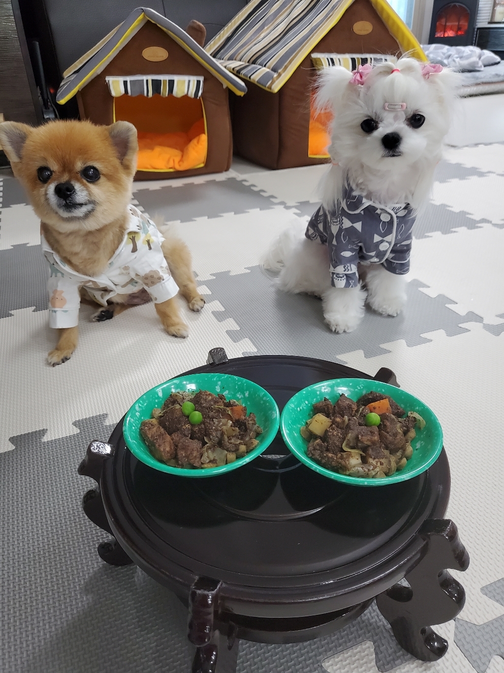 위닝푸드 강아지 짜장 반려견 화식 자연식 건강식