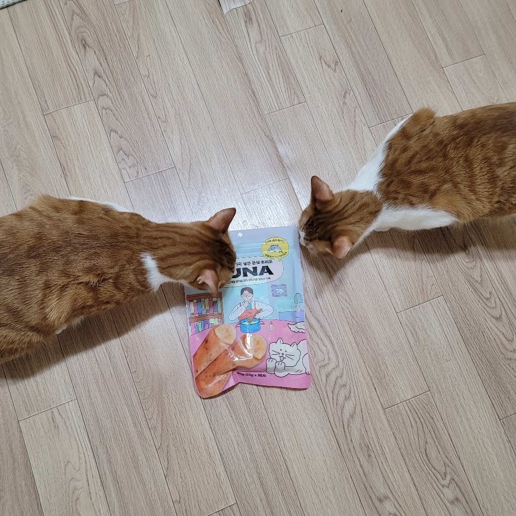 냥쌤 고양이 나응식 레시피 튜나 츄리또