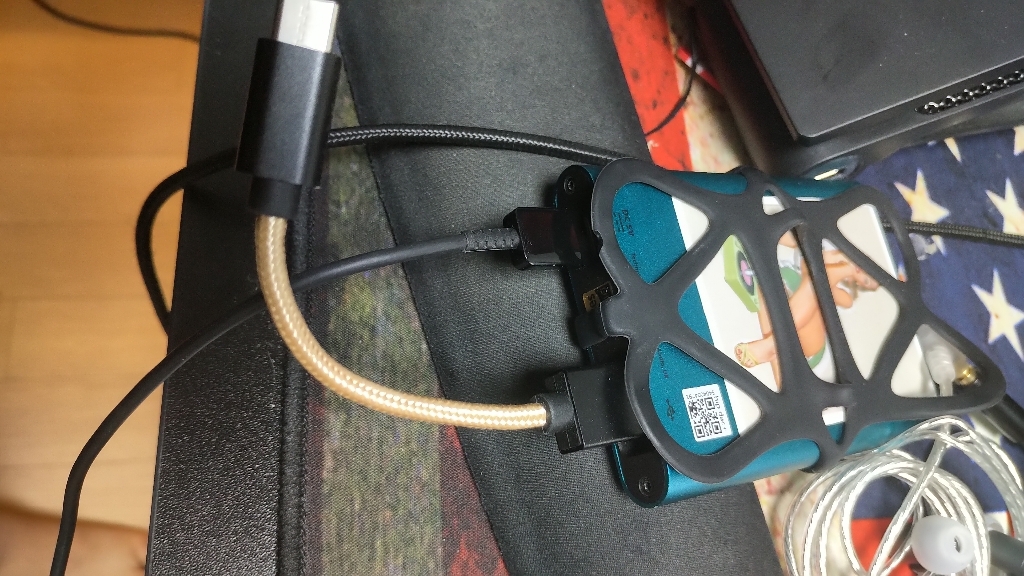 iFi audio Tye C OT 케이블