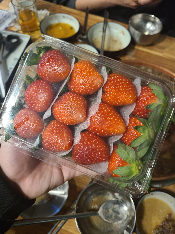 [농장직송] 고당도 제철 생 딸기 설향 리뷰후기