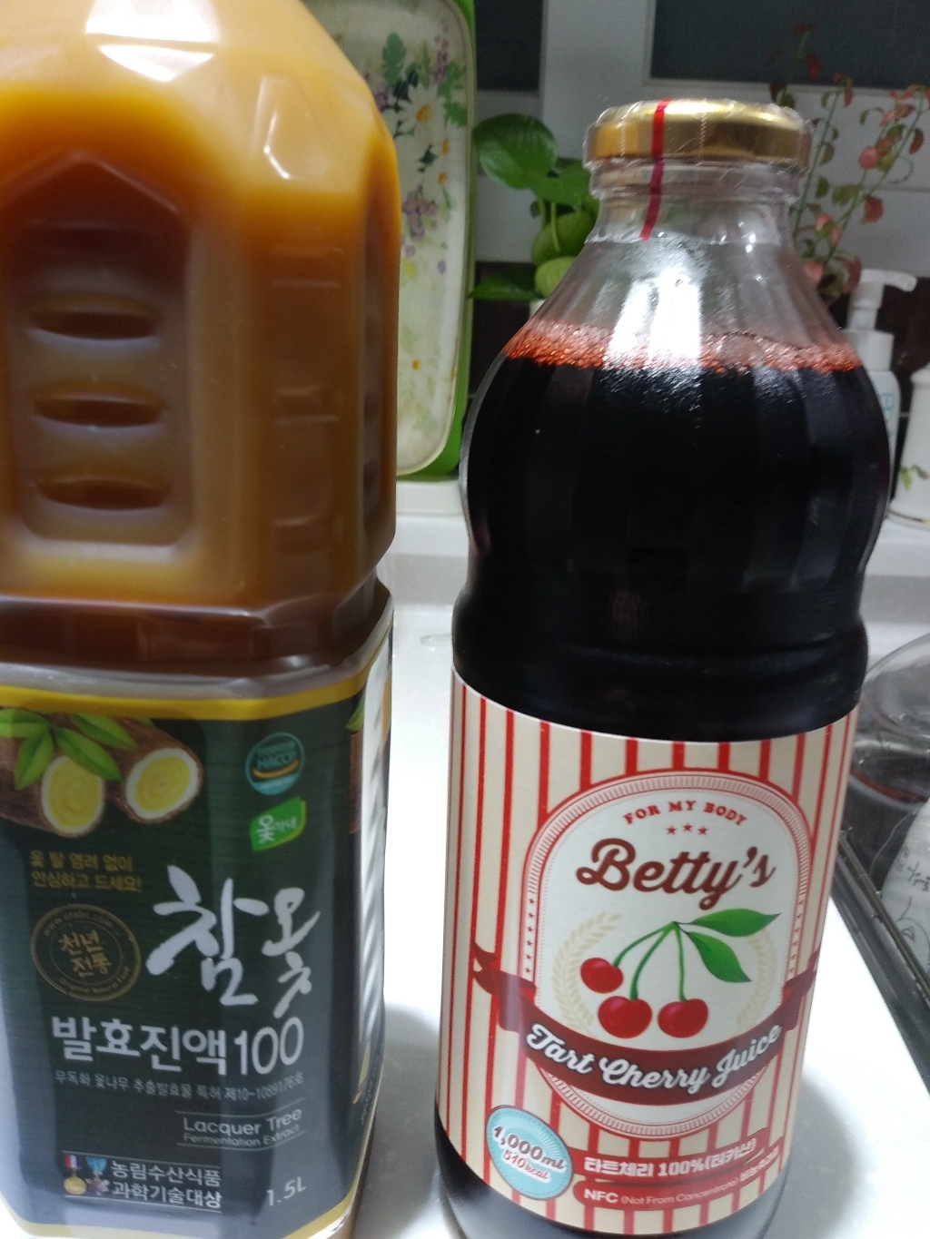 옻가네 참옻발효진액100 1 3병 참옻