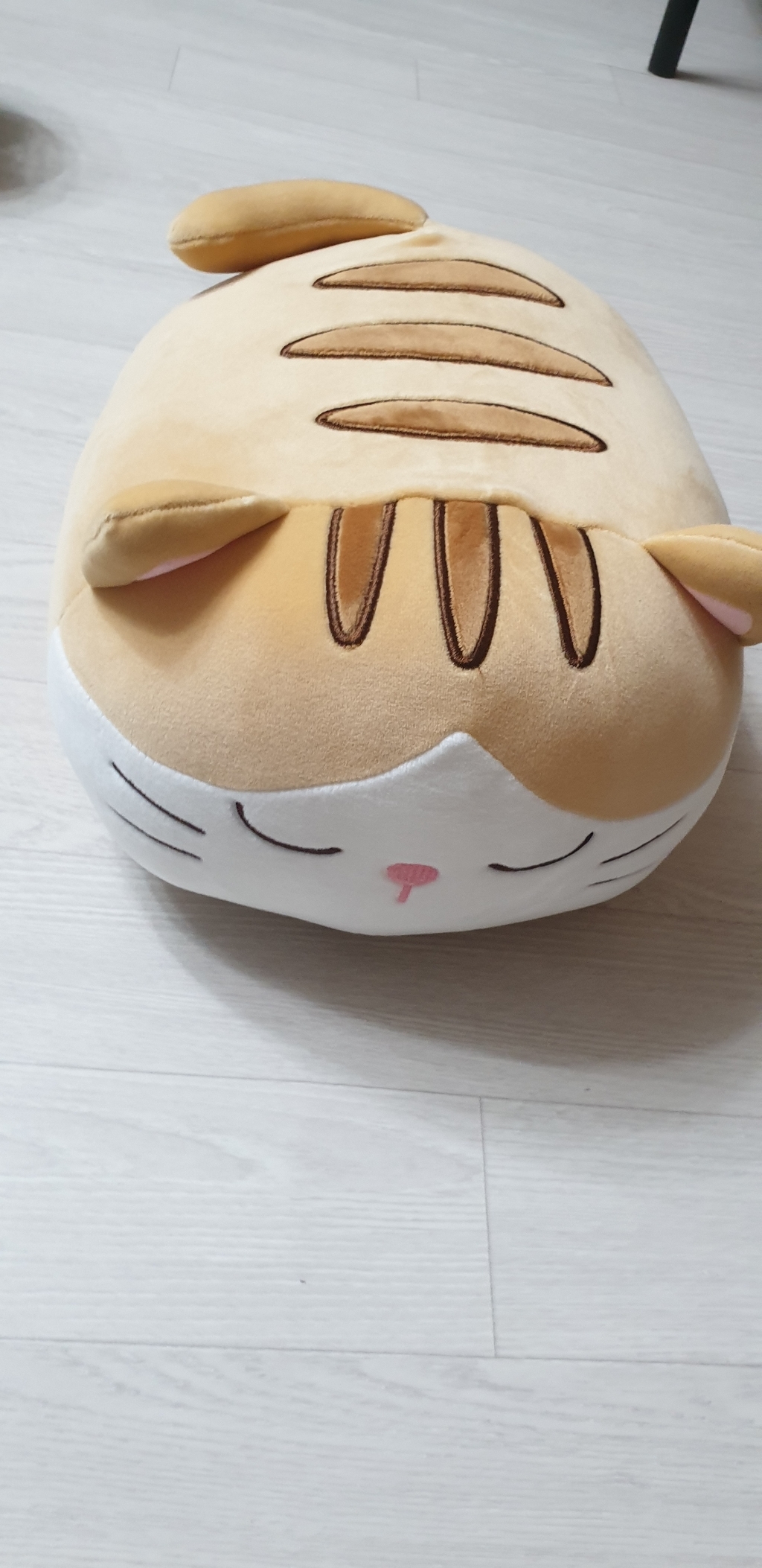 메세 모찌모찌 고양이 쿠션 인형 베르