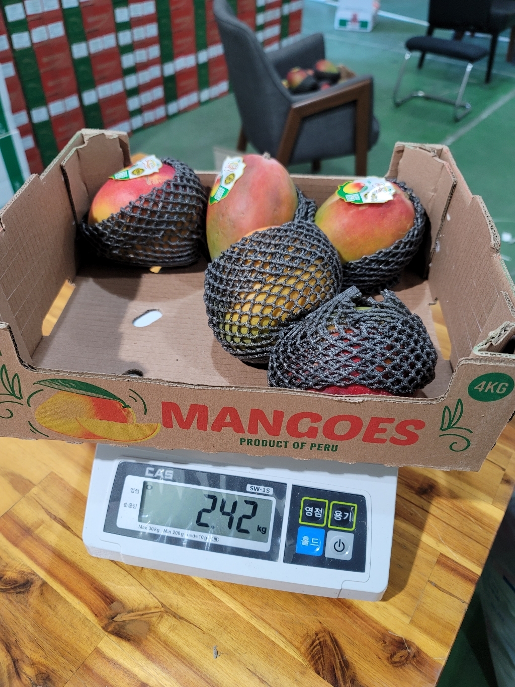 카스 단순중량 전자거울 SW-