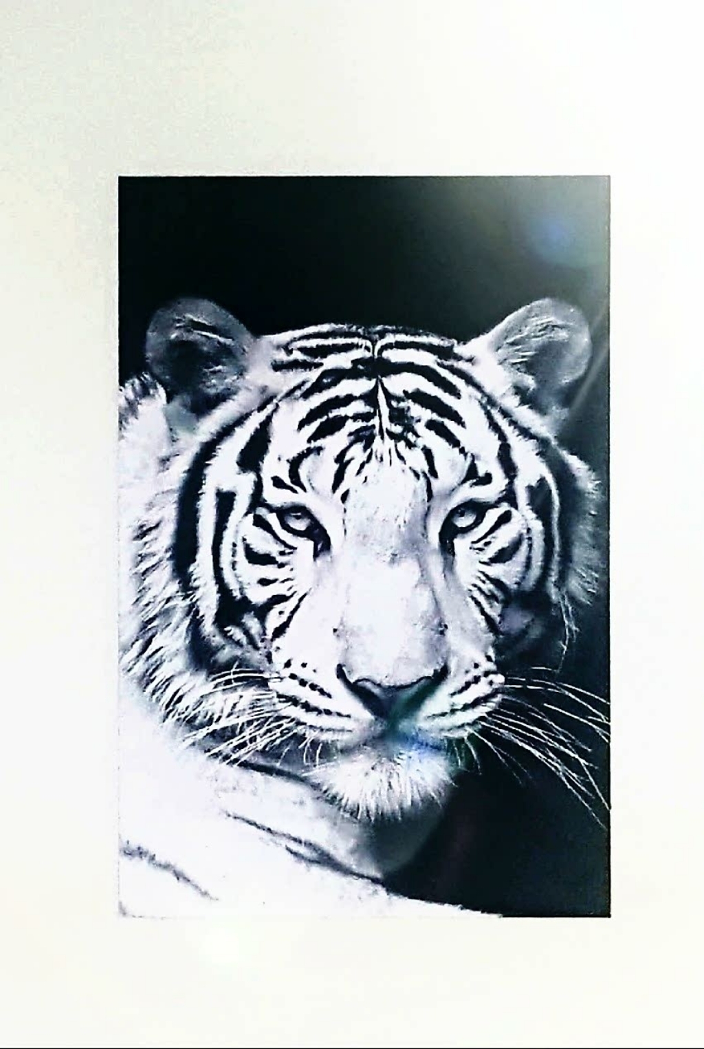 돈들어오는 그림 거실 풍수 인테리어 액자 황금 해바라기 사과 랑이 코끼리 돈나무 말 부엉이 29A-블랙백