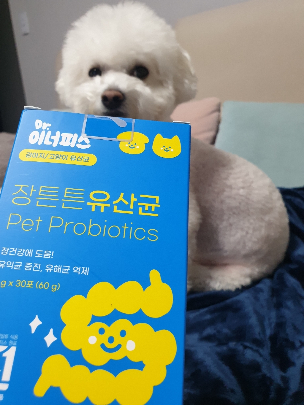 바잇미 강아지 고양이 비피더스 장튼튼