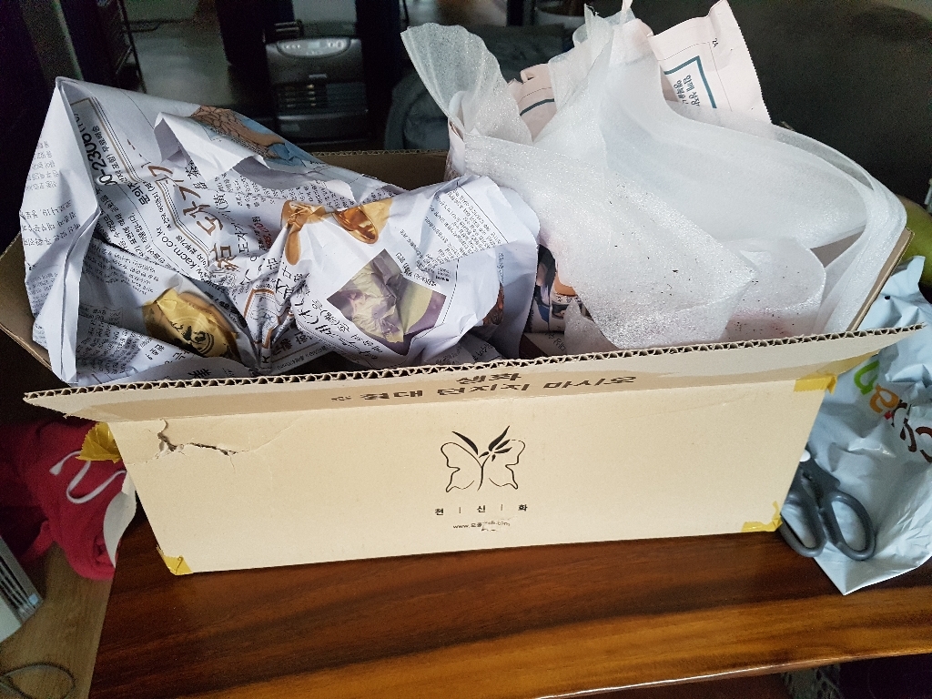 [모종가게]몬스테라 오블리쿠아 / 아단소니 구멍몬스테라 실내공기정화식물 화분 키우기 쉬운