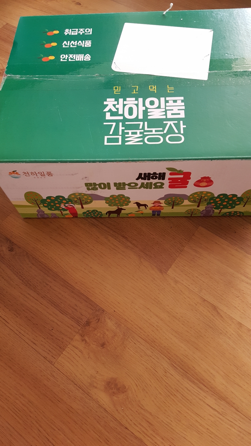 귤담원 제주 제철 감귤