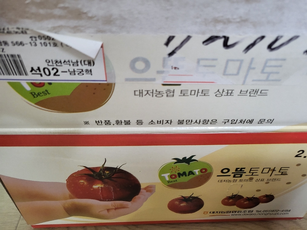 [재구매율 ] 쿠메푸드 부산 대저토마토 짭짤이 로얄과 2 대저짭짤이토마토