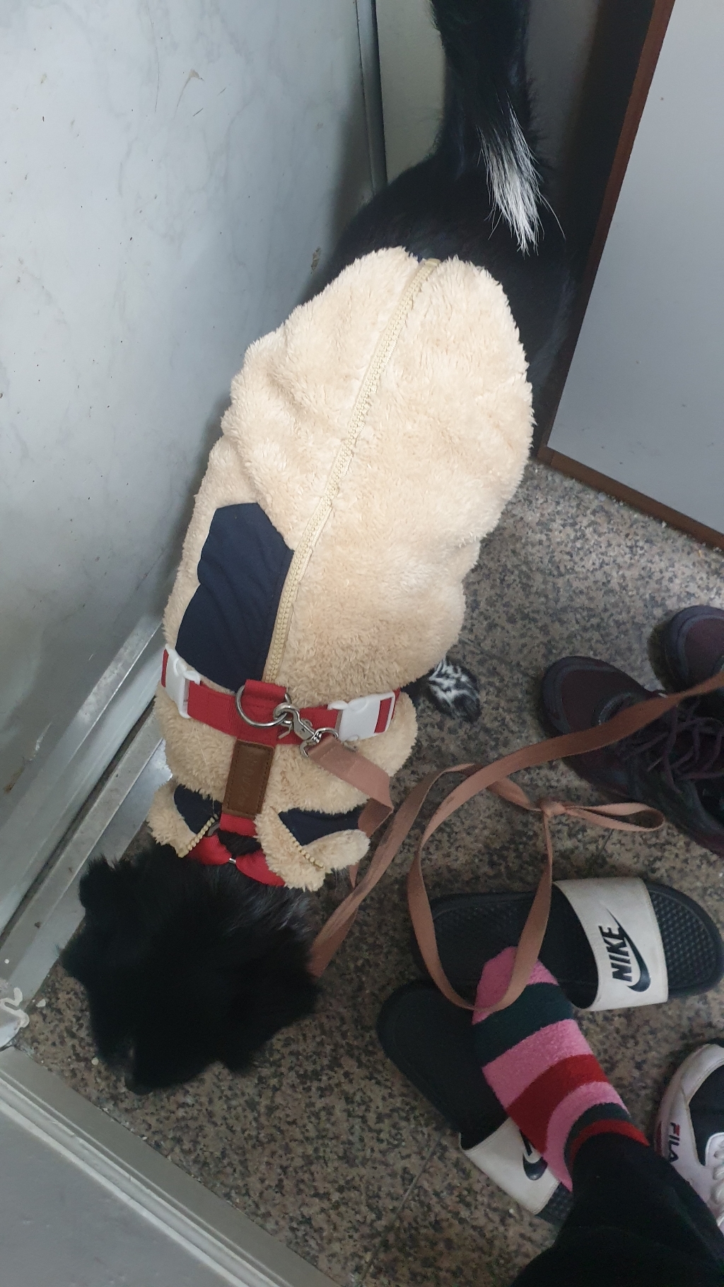 도그아이 펫타고니아 강아지 후리스