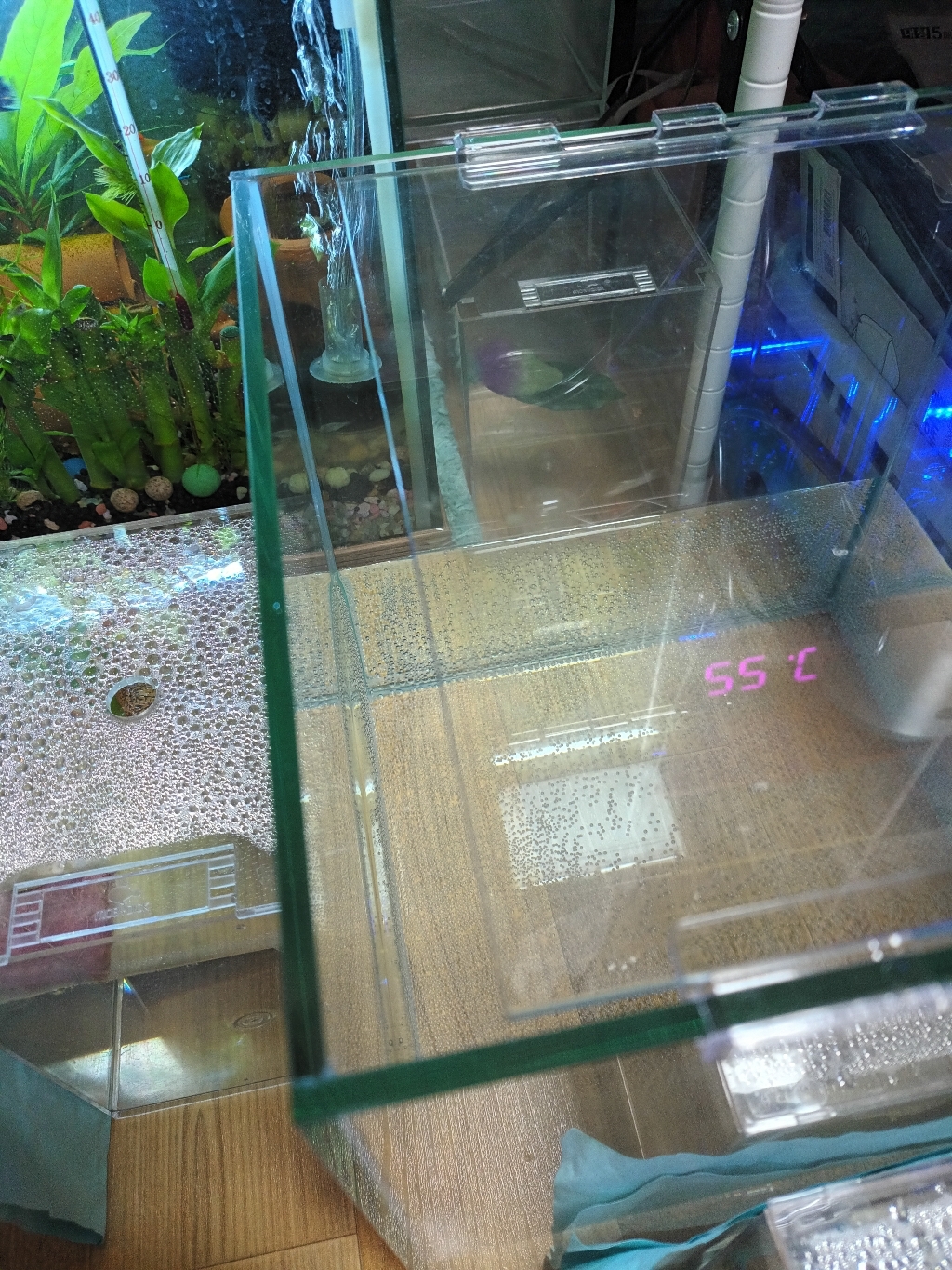 리컴 하이큐브 어항 HQ-250