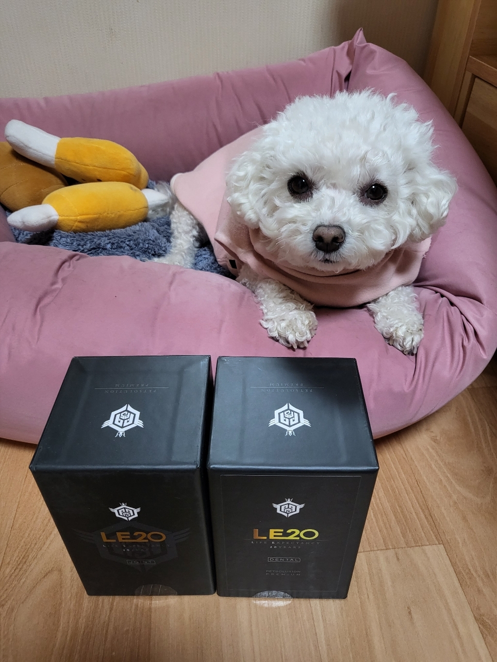 펫솔루션 강아지 프리미엄 E20 덴탈 구강영양제